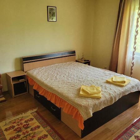 فيلا Casa Damian Bertea المظهر الخارجي الصورة