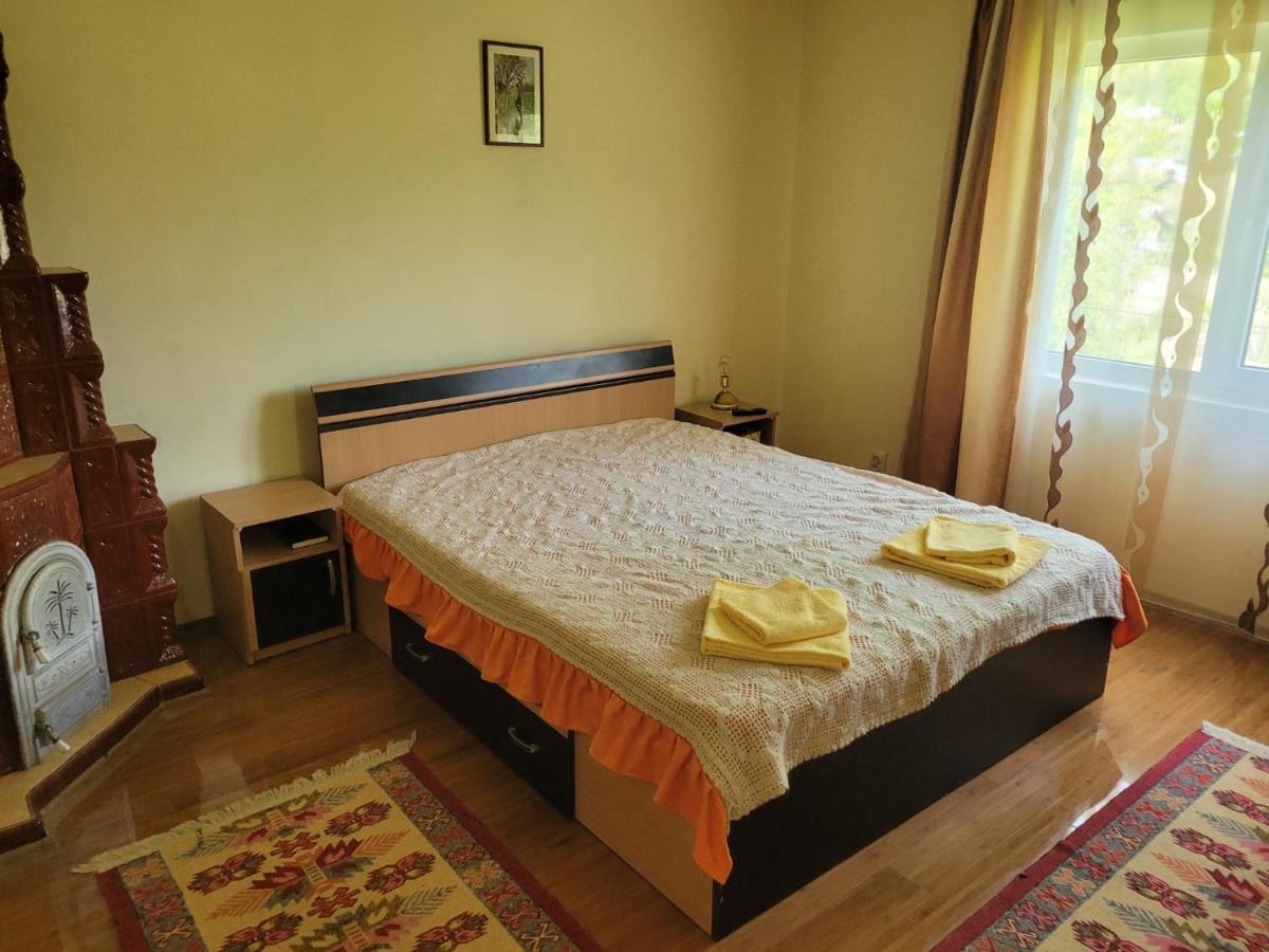 فيلا Casa Damian Bertea المظهر الخارجي الصورة