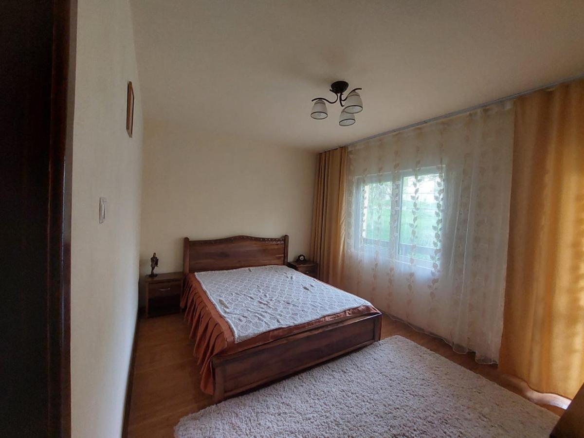فيلا Casa Damian Bertea المظهر الخارجي الصورة