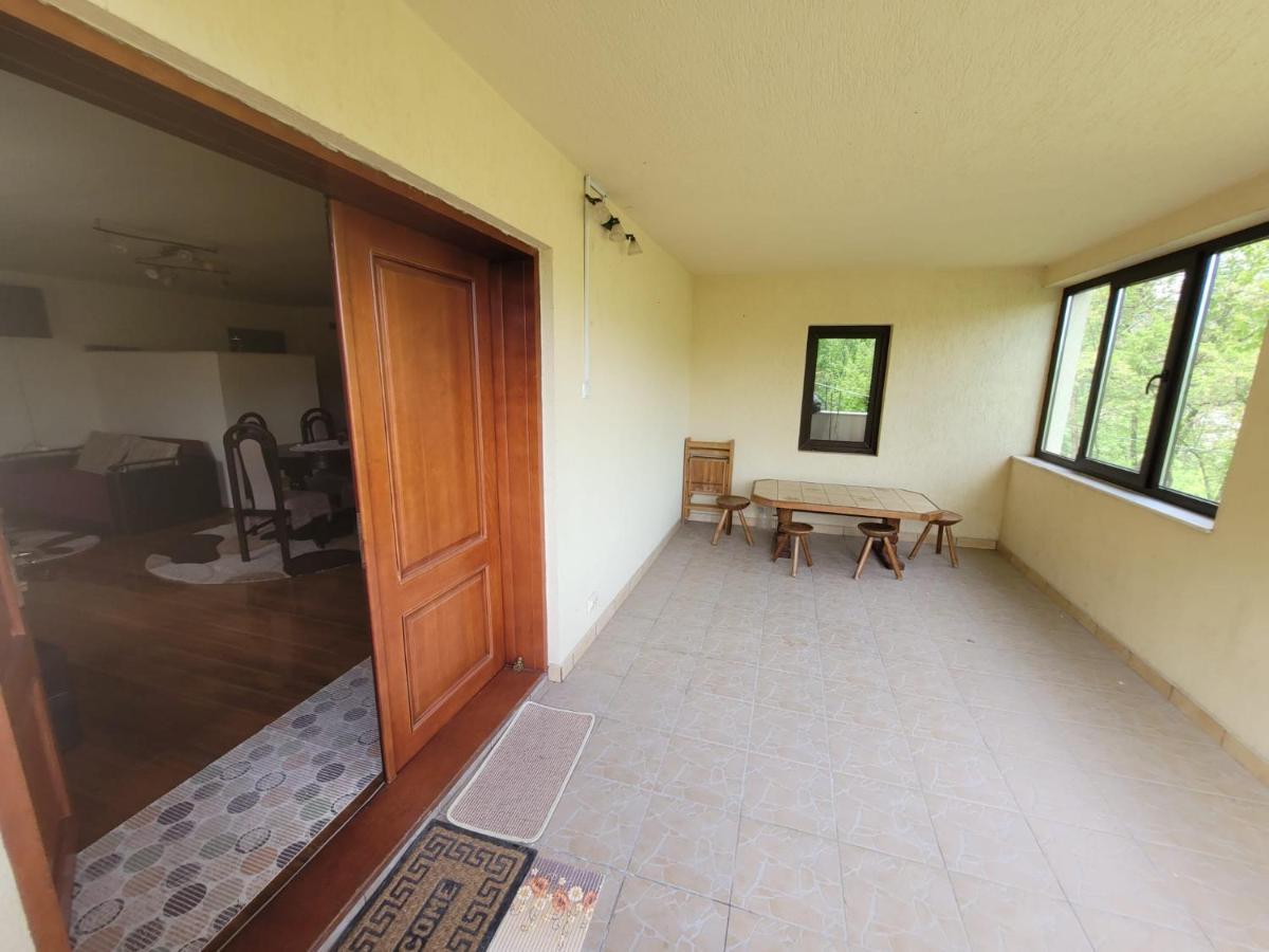 فيلا Casa Damian Bertea المظهر الخارجي الصورة