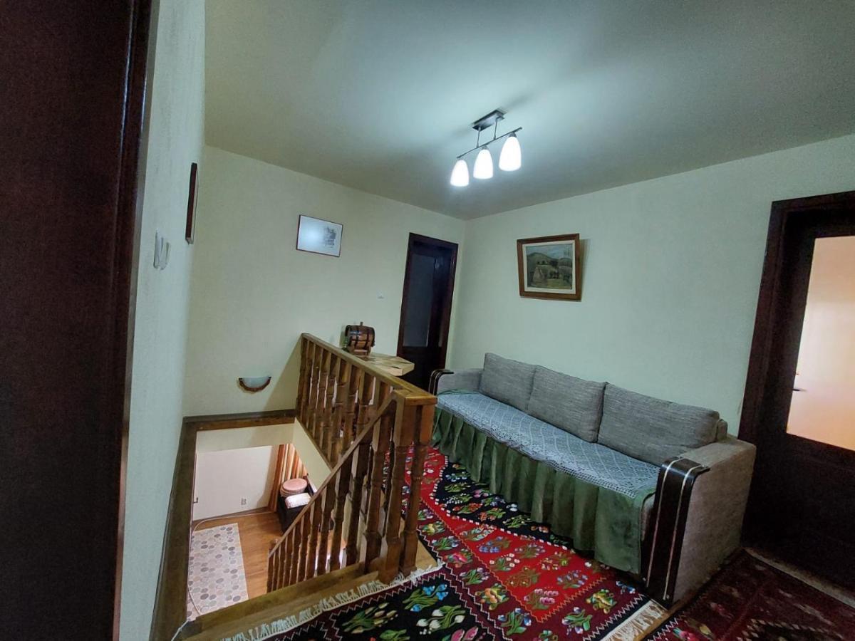 فيلا Casa Damian Bertea المظهر الخارجي الصورة